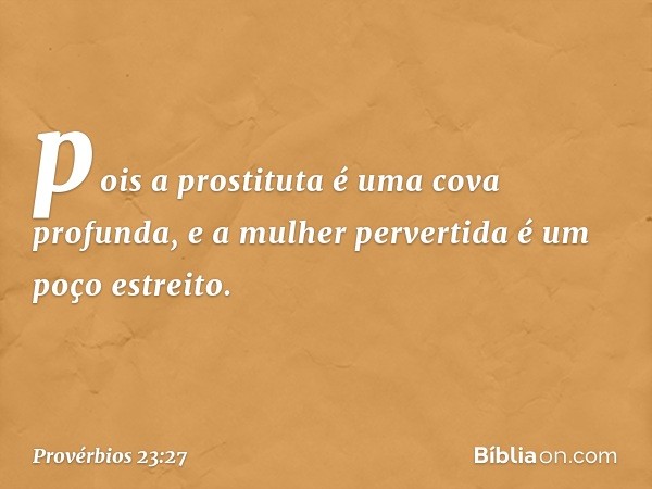 pois a prostituta é uma cova profunda,
e a mulher pervertida é um poço estreito. -- Provérbios 23:27