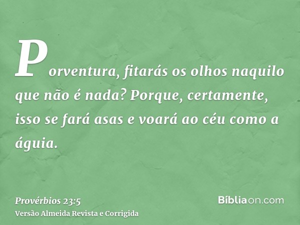 Porventura, fitarás os olhos naquilo que não é nada? Porque, certamente, isso se fará asas e voará ao céu como a águia.