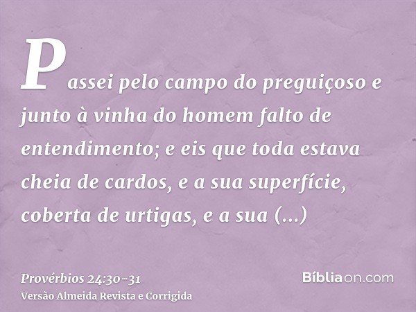 Passei pelo campo do preguiçoso e junto à vinha do homem falto de entendimento;e eis que toda estava cheia de cardos, e a sua superfície, coberta de urtigas, e 