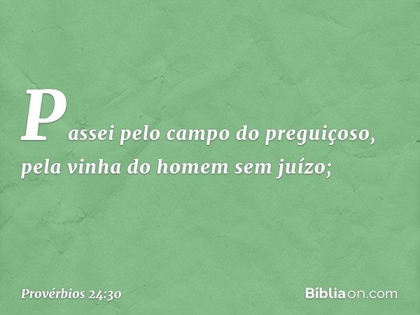 Passei pelo campo do preguiçoso,
pela vinha do homem sem juízo; -- Provérbios 24:30