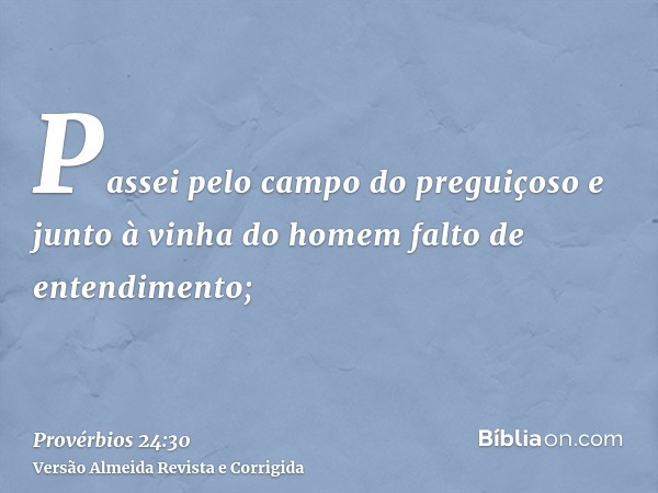 Passei pelo campo do preguiçoso e junto à vinha do homem falto de entendimento;