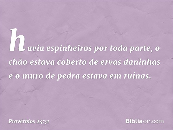 havia espinheiros por toda parte,
o chão estava coberto de ervas daninhas
e o muro de pedra estava em ruínas. -- Provérbios 24:31