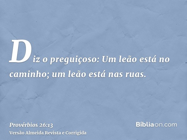Diz o preguiçoso: Um leão está no caminho; um leão está nas ruas.
