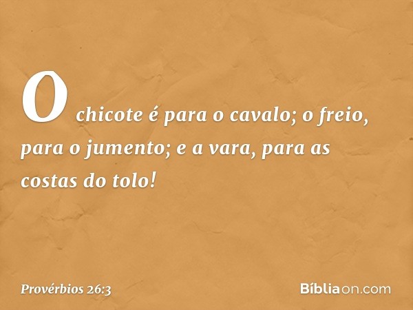 O chicote é para o cavalo;
o freio, para o jumento;
e a vara, para as costas do tolo! -- Provérbios 26:3