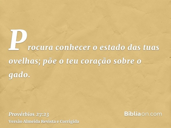 Procura conhecer o estado das tuas ovelhas; põe o teu coração sobre o gado.