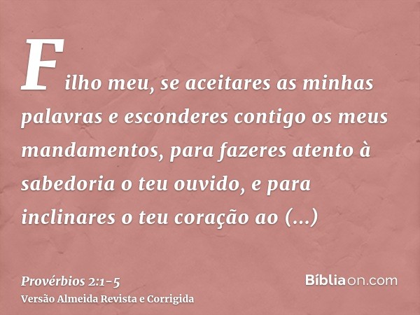 Filho meu, se aceitares as minhas palavras e esconderes contigo os meus mandamentos,para fazeres atento à sabedoria o teu ouvido, e para inclinares o teu coraçã