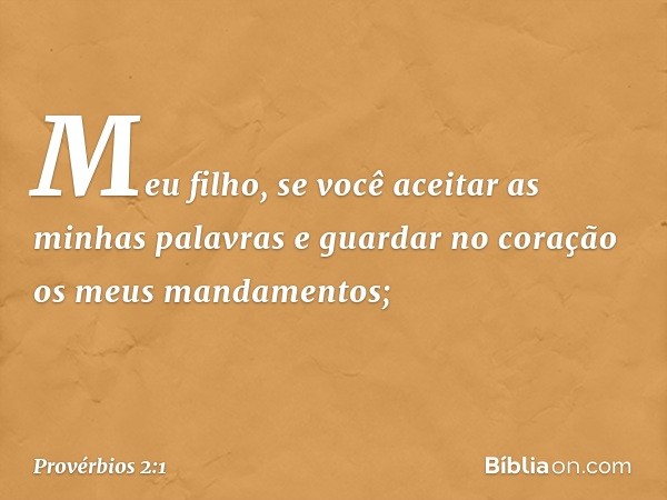 Meu filho, se você aceitar
as minhas palavras
e guardar no coração
os meus mandamentos; -- Provérbios 2:1