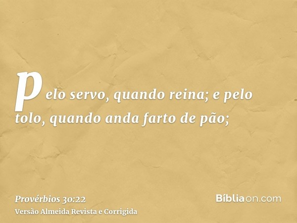 pelo servo, quando reina; e pelo tolo, quando anda farto de pão;