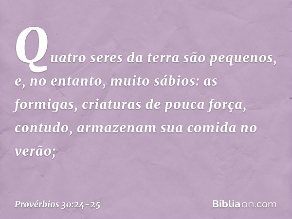 "Quatro seres da terra são pequenos,
e, no entanto, muito sábios: as formigas, criaturas de pouca força,
contudo, armazenam sua comida no verão; -- Provérbios 3