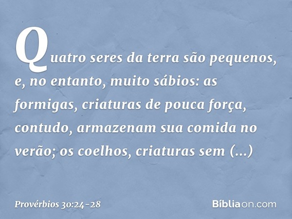 "Quatro seres da terra são pequenos,
e, no entanto, muito sábios: as formigas, criaturas de pouca força,
contudo, armazenam sua comida no verão; os coelhos, cri