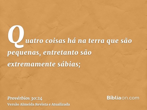 Quatro coisas há na terra que são pequenas, entretanto são extremamente sábias;