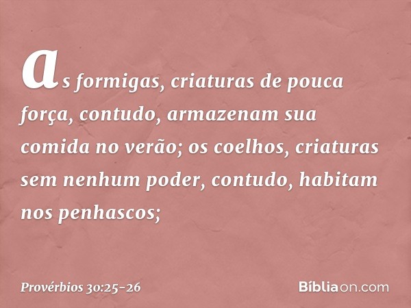 as formigas, criaturas de pouca força,
contudo, armazenam sua comida no verão; os coelhos, criaturas sem nenhum poder,
contudo, habitam nos penhascos; -- Provér