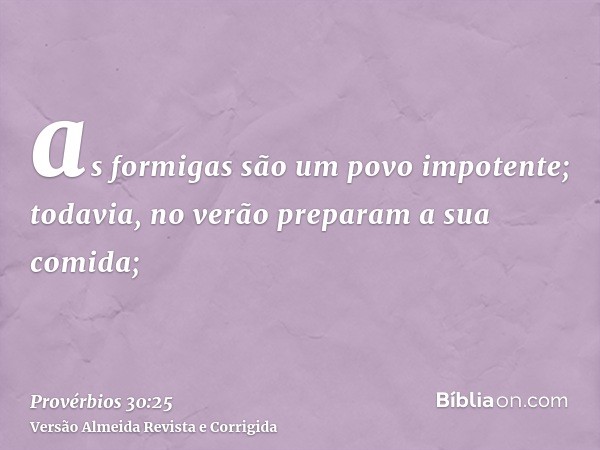 as formigas são um povo impotente; todavia, no verão preparam a sua comida;