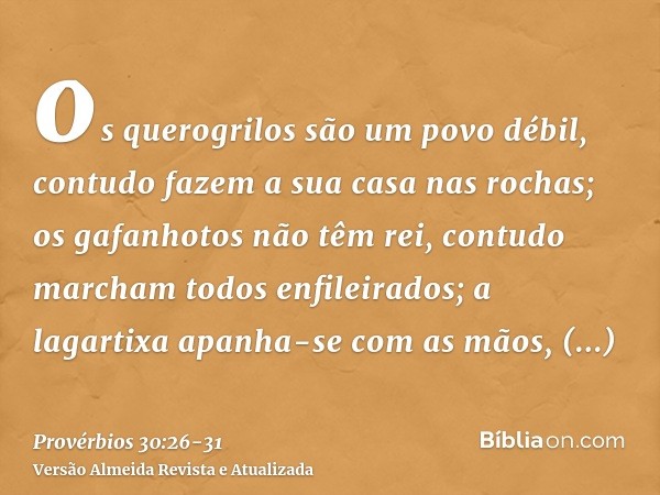 os querogrilos são um povo débil, contudo fazem a sua casa nas rochas;os gafanhotos não têm rei, contudo marcham todos enfileirados;a lagartixa apanha-se com as