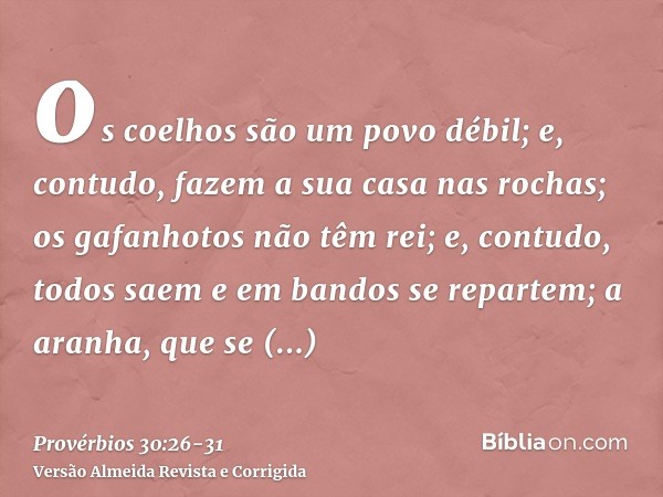 os coelhos são um povo débil; e, contudo, fazem a sua casa nas rochas;os gafanhotos não têm rei; e, contudo, todos saem e em bandos se repartem;a aranha, que se