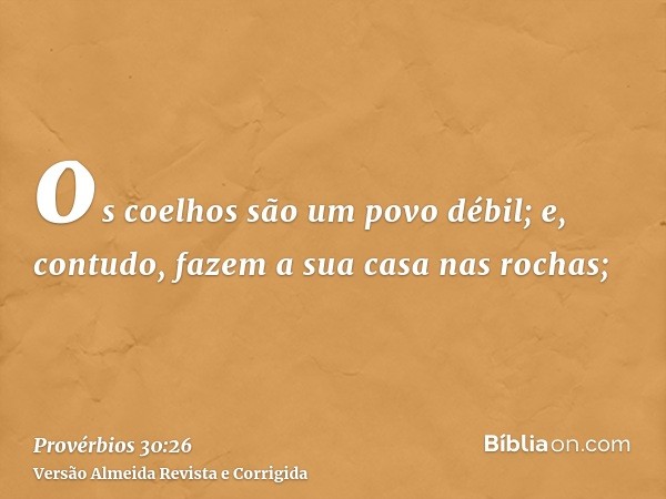 os coelhos são um povo débil; e, contudo, fazem a sua casa nas rochas;