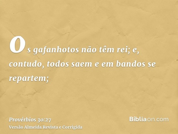 os gafanhotos não têm rei; e, contudo, todos saem e em bandos se repartem;