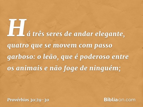 "Há três seres de andar elegante,
quatro que se movem com passo garboso: o leão, que é poderoso entre os animais
e não foge de ninguém; -- Provérbios 30:29-30