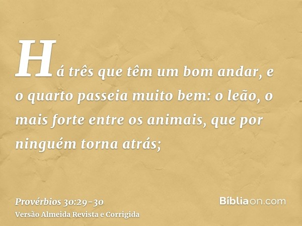 Há três que têm um bom andar, e o quarto passeia muito bem:o leão, o mais forte entre os animais, que por ninguém torna atrás;