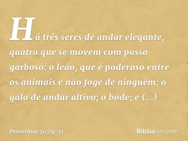 "Há três seres de andar elegante,
quatro que se movem com passo garboso: o leão, que é poderoso entre os animais
e não foge de ninguém; o galo de andar altivo; 