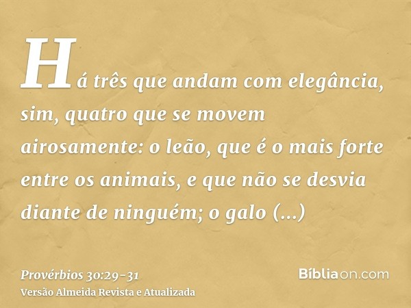 Há três que andam com elegância, sim, quatro que se movem airosamente:o leão, que é o mais forte entre os animais, e que não se desvia diante de ninguém;o galo 