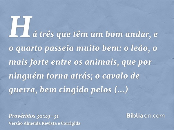 Há três que têm um bom andar, e o quarto passeia muito bem:o leão, o mais forte entre os animais, que por ninguém torna atrás;o cavalo de guerra, bem cingido pe