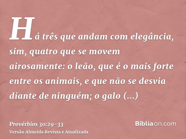 Há três que andam com elegância, sim, quatro que se movem airosamente:o leão, que é o mais forte entre os animais, e que não se desvia diante de ninguém;o galo 