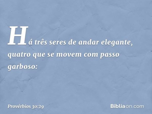 "Há três seres de andar elegante,
quatro que se movem com passo garboso: -- Provérbios 30:29