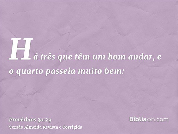 Há três que têm um bom andar, e o quarto passeia muito bem: