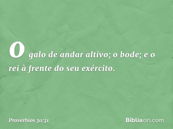 o galo de andar altivo; o bode;
e o rei à frente do seu exército. -- Provérbios 30:31