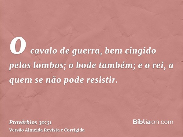 o cavalo de guerra, bem cingido pelos lombos; o bode também; e o rei, a quem se não pode resistir.