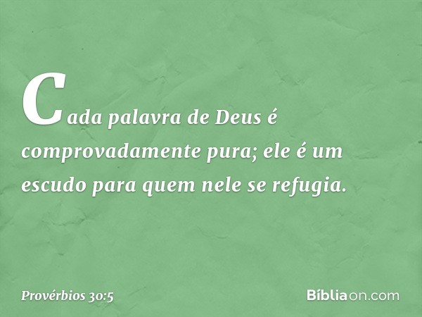 "Cada palavra de Deus
é comprovadamente pura;
ele é um escudo para quem
nele se refugia. -- Provérbios 30:5