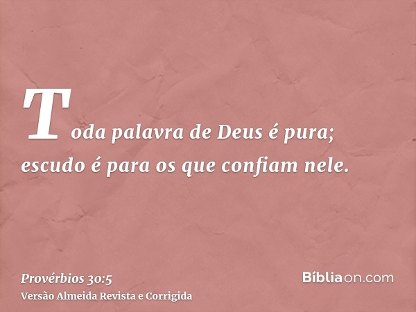 Toda palavra de Deus é pura; escudo é para os que confiam nele.
