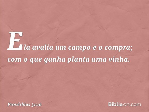 Ela avalia um campo e o compra;
com o que ganha planta uma vinha. -- Provérbios 31:16