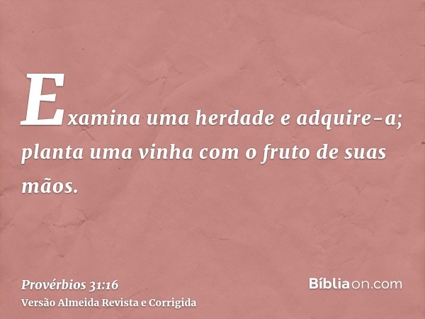 Examina uma herdade e adquire-a; planta uma vinha com o fruto de suas mãos.