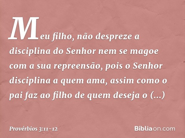 Meu filho,
não despreze a disciplina do Senhor
nem se magoe com a sua repreensão, pois o Senhor disciplina a quem ama,
assim como o pai faz ao filho
de quem des