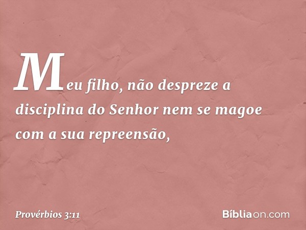 Meu filho,
não despreze a disciplina do Senhor
nem se magoe com a sua repreensão, -- Provérbios 3:11