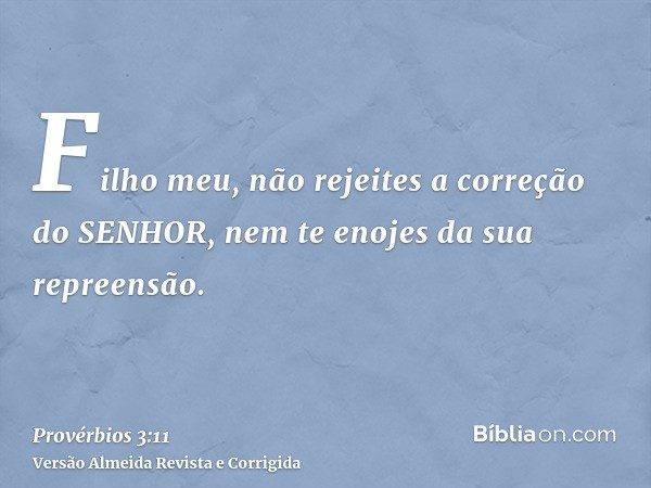 Filho meu, não rejeites a correção do SENHOR, nem te enojes da sua repreensão.