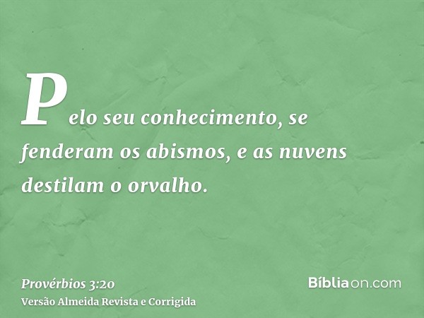Pelo seu conhecimento, se fenderam os abismos, e as nuvens destilam o orvalho.