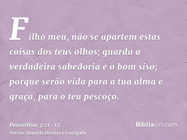 Filho meu, não se apartem estas coisas dos teus olhos; guarda a verdadeira sabedoria e o bom siso;porque serão vida para a tua alma e graça, para o teu pescoço.