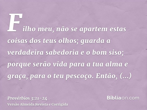 Filho meu, não se apartem estas coisas dos teus olhos; guarda a verdadeira sabedoria e o bom siso;porque serão vida para a tua alma e graça, para o teu pescoço.