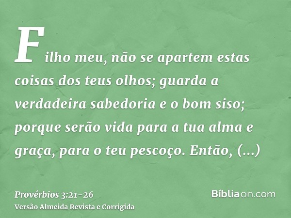 Filho meu, não se apartem estas coisas dos teus olhos; guarda a verdadeira sabedoria e o bom siso;porque serão vida para a tua alma e graça, para o teu pescoço.