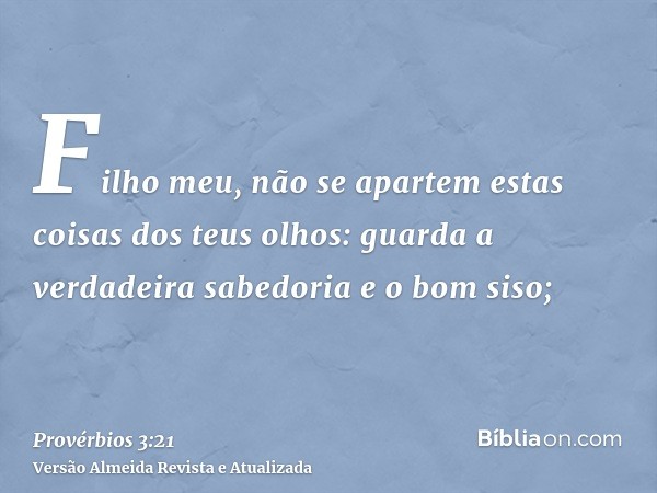 Filho meu, não se apartem estas coisas dos teus olhos: guarda a verdadeira sabedoria e o bom siso;