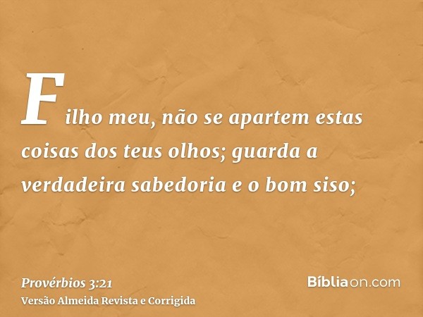 Filho meu, não se apartem estas coisas dos teus olhos; guarda a verdadeira sabedoria e o bom siso;
