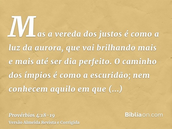 Mas a vereda dos justos é como a luz da aurora, que vai brilhando mais e mais até ser dia perfeito.O caminho dos ímpios é como a escuridão; nem conhecem aquilo 