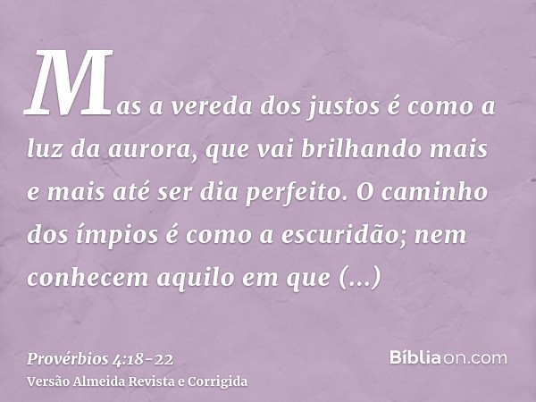 Mas a vereda dos justos é como a luz da aurora, que vai brilhando mais e mais até ser dia perfeito.O caminho dos ímpios é como a escuridão; nem conhecem aquilo