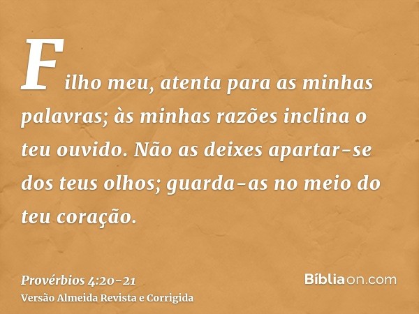 Filho meu, atenta para as minhas palavras; às minhas razões inclina o teu ouvido.Não as deixes apartar-se dos teus olhos; guarda-as no meio do teu coração.