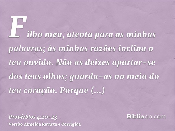 Filho meu, atenta para as minhas palavras; às minhas razões inclina o teu ouvido.Não as deixes apartar-se dos teus olhos; guarda-as no meio do teu coração.Porqu