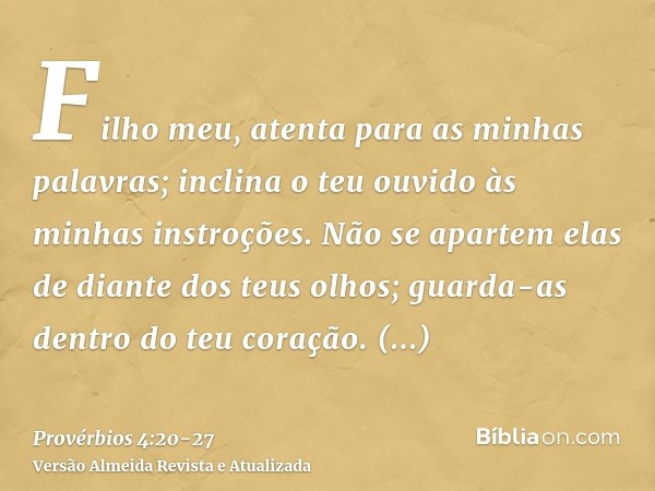 Filho meu, atenta para as minhas palavras; inclina o teu ouvido às minhas instroções.Não se apartem elas de diante dos teus olhos; guarda-as dentro do teu coraç