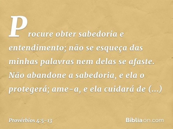 Procure obter sabedoria e entendimento;
não se esqueça das minhas palavras
nem delas se afaste. Não abandone a sabedoria,
e ela o protegerá;
ame-a, e ela cuidar